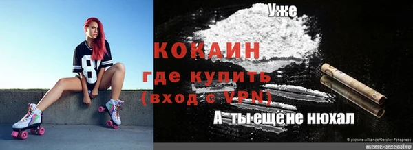 стаф Алзамай