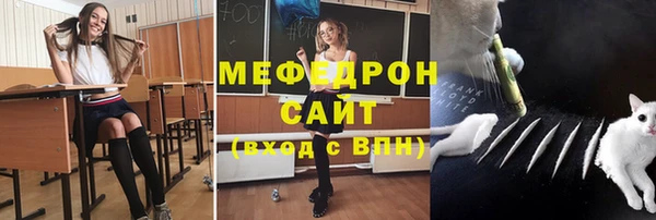 стаф Алзамай