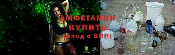 стаф Алзамай