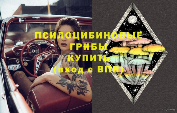 ешки Алексеевка