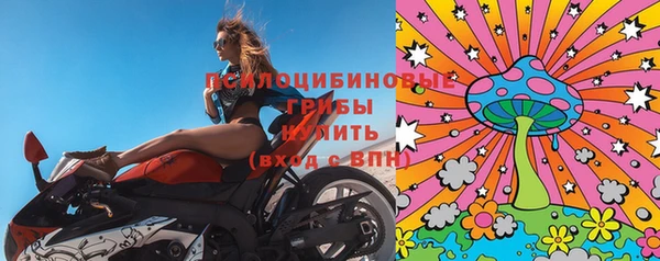 стаф Алзамай