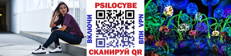 Псилоцибиновые грибы мицелий  купить   Люберцы 